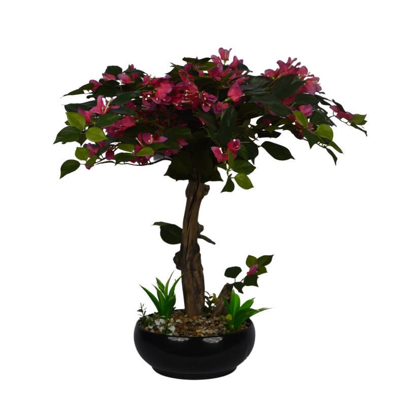 Bonsai tree with pink flowers in a pot on a white background