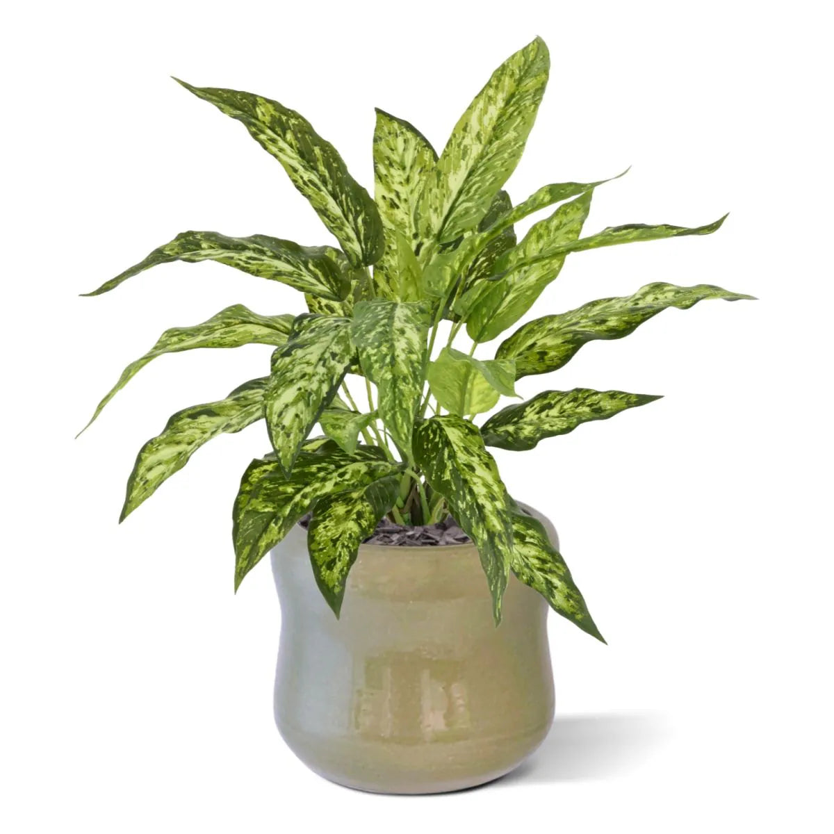 1 Ft Artificial Aglaonema N Plant 40cm – faux greenery with vibrant texture