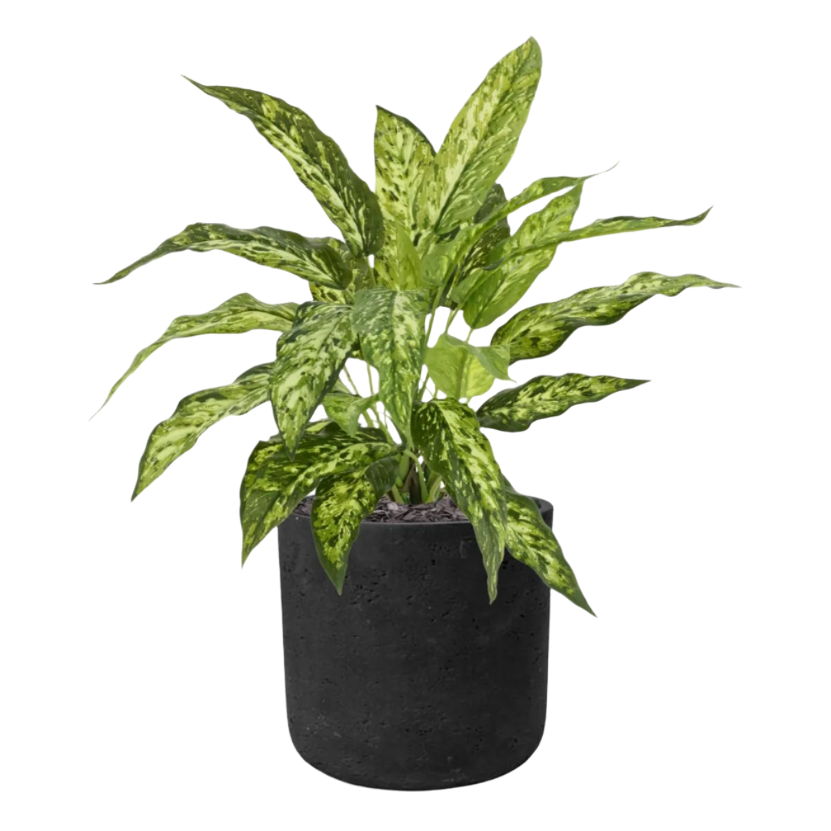1 Ft Artificial Aglaonema N Plant 40cm – perfect for modern home decor