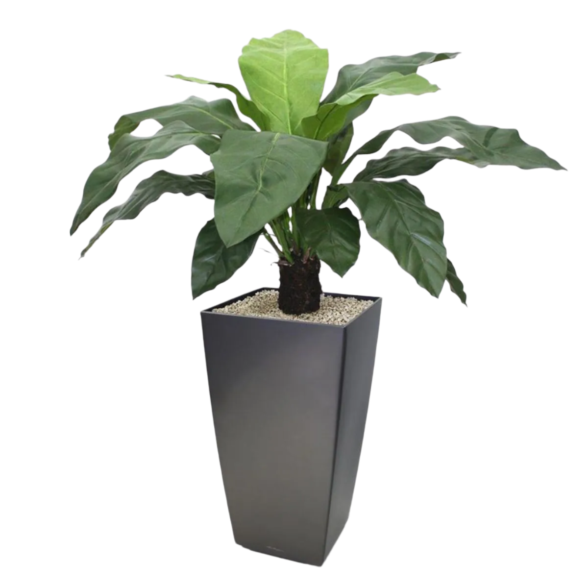 Tropical-inspired 3 Ft faux Anthurium Jungle King – perfect for modern interiors