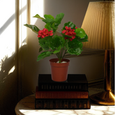 An artificial geranium plant in a brown pot, placed on a stack of books beside a lamp, with a realistic appearance.