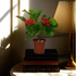 An artificial geranium plant in a brown pot, placed on a stack of books beside a lamp, with a realistic appearance.