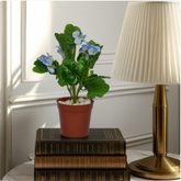 An artificial green Geranium bush in a brown pot, placed on a stack of books next to a brass lamp.