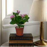 An artificial Geranium flower bush in a red pot, placed on top of stacked books next to a brass lamp with a white shade, indoors.