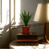 An artificial yucca bush in a red pot placed on top of a stack of books, next to a lamp, with a shadow cast on the wall.