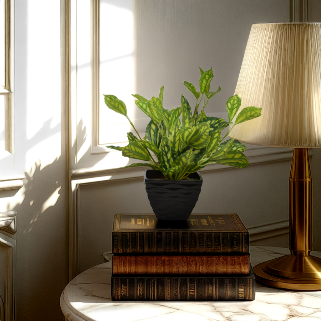 An artificial watermelon plant in a black pot, placed on a stack of brown books on a marble surface, with a lamp and window light illuminating the scene.
