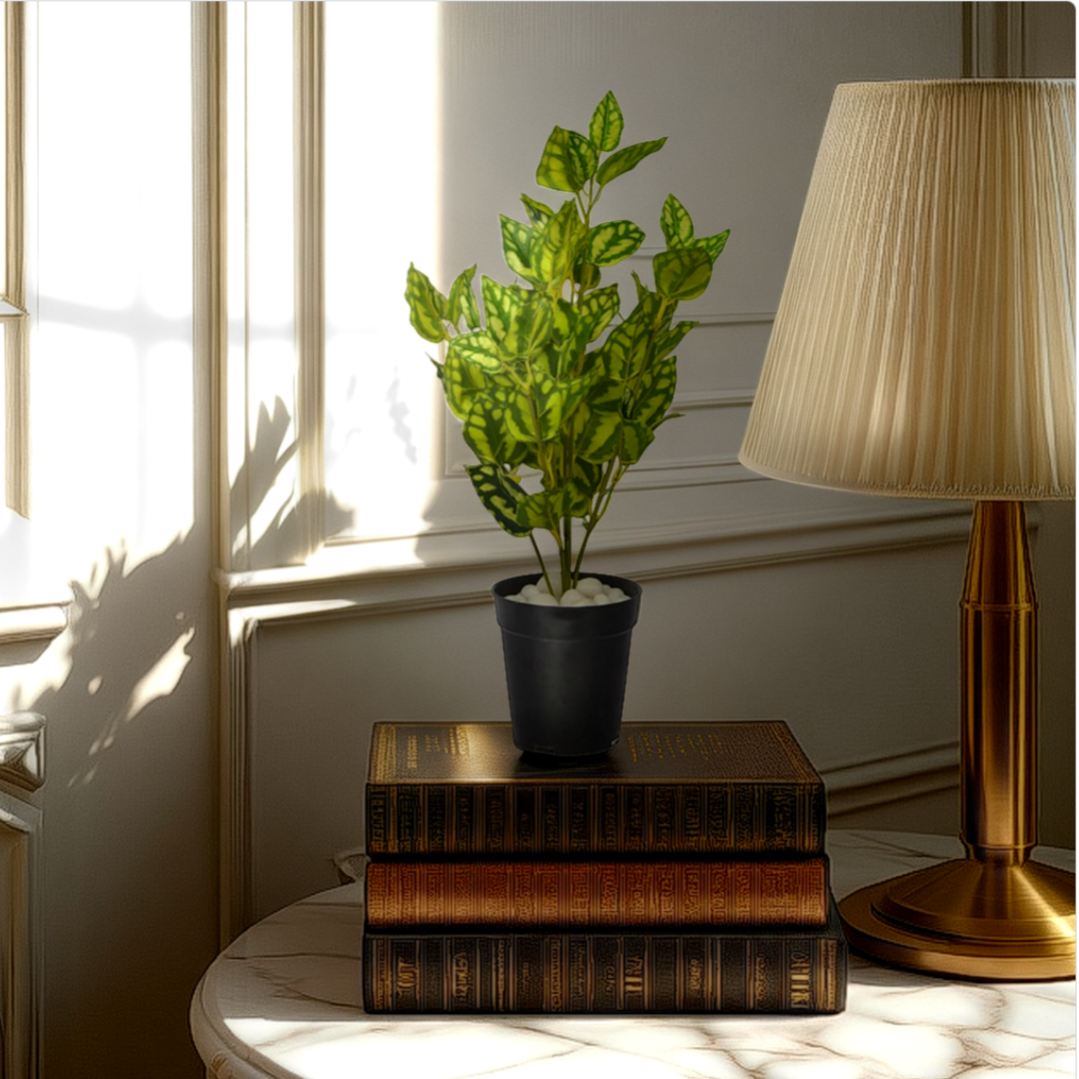 An artificial green bush in a navy pot, placed on a stack of brown books, with a lamp and a window in the background.