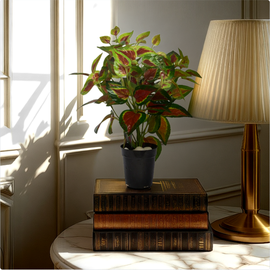 An artificial coleas mini bush in a blue pot placed on top of a stack of old books, with a lamp and a window in the background.