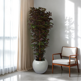 Room with a potted plant and a chair, viewed through a virtual staging tool interface.