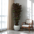 Room with a potted plant and a chair, viewed through a virtual staging tool interface.