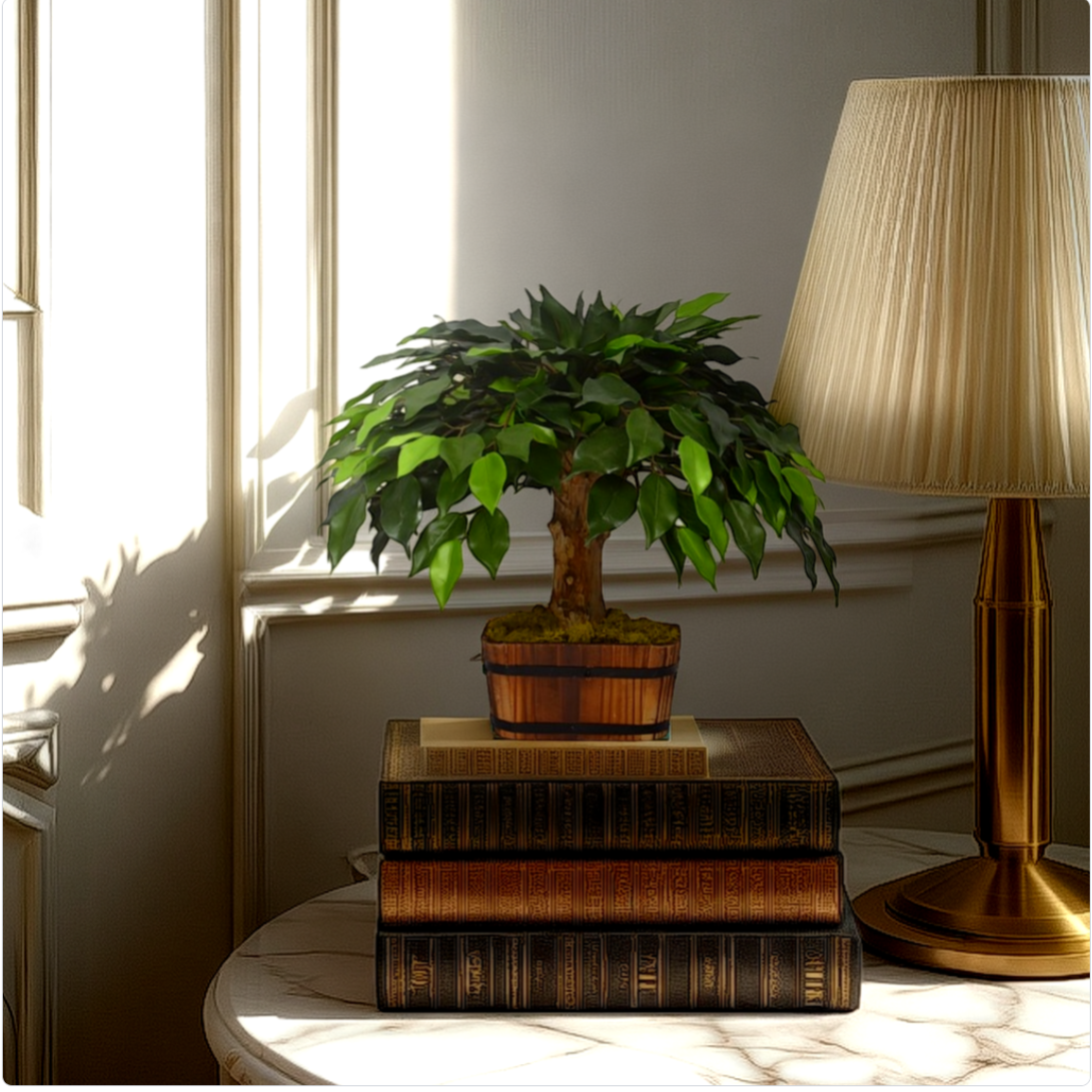 Potted plant on a table with a lamp in a room setting