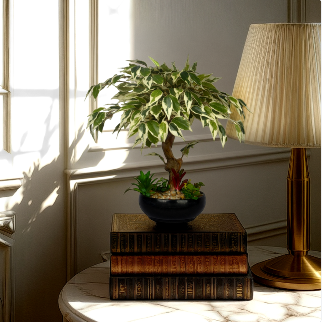 Room interior with a plant, books, and a lamp on a table.