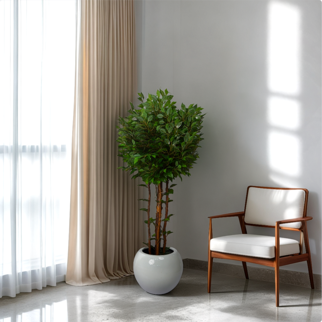 Room with a plant and chair, viewed through a window with blinds.