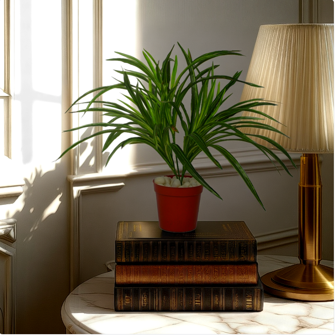 1 Ft Dracaena Bush Stylish Faux Patio Centerpiece – Elegant Faux Greenery for Any Setting