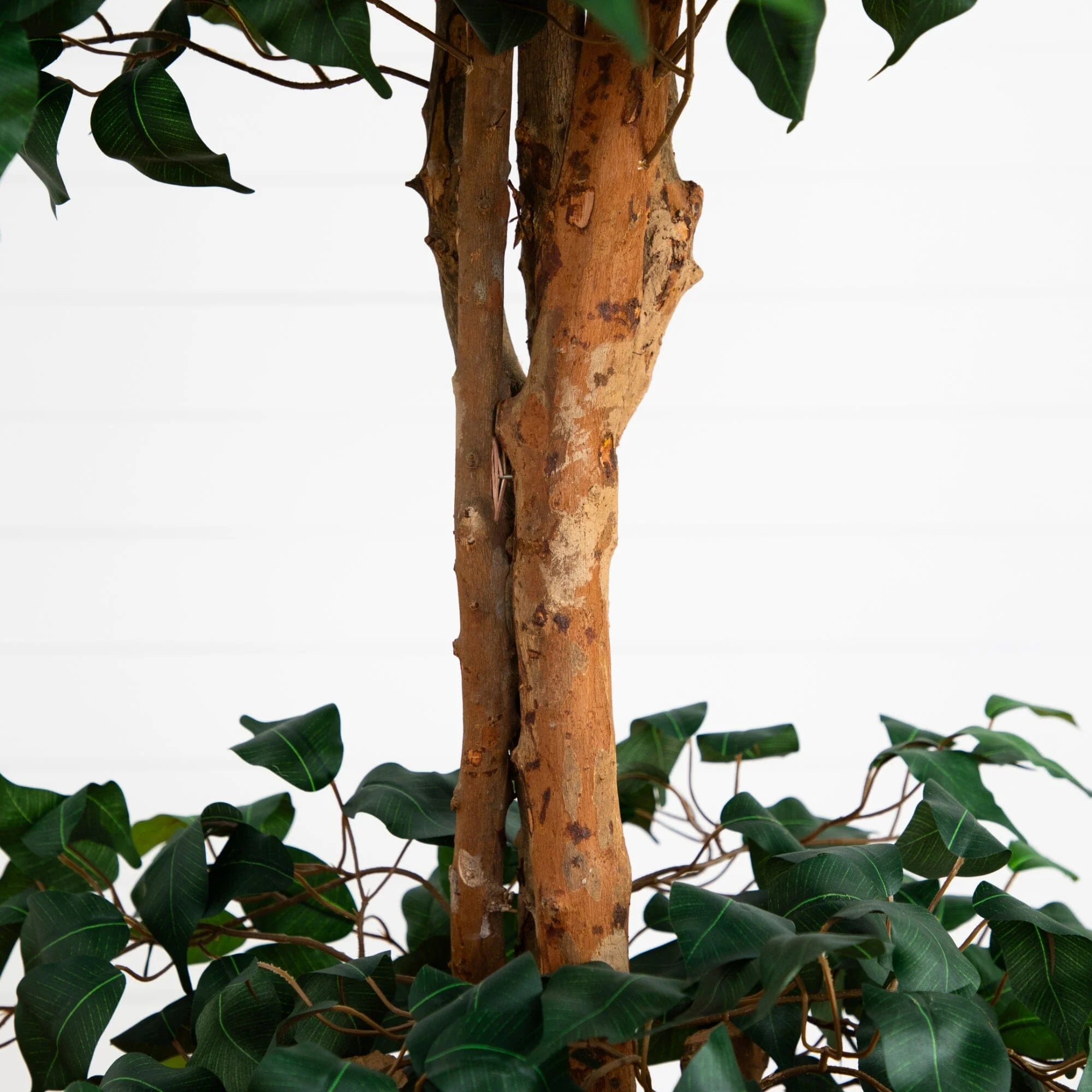 6 Ft Artificial Double Ball Ficus Silk Tree – Faux Indoor Plant with Natural Trunk & Lush Green Foliage in Pot