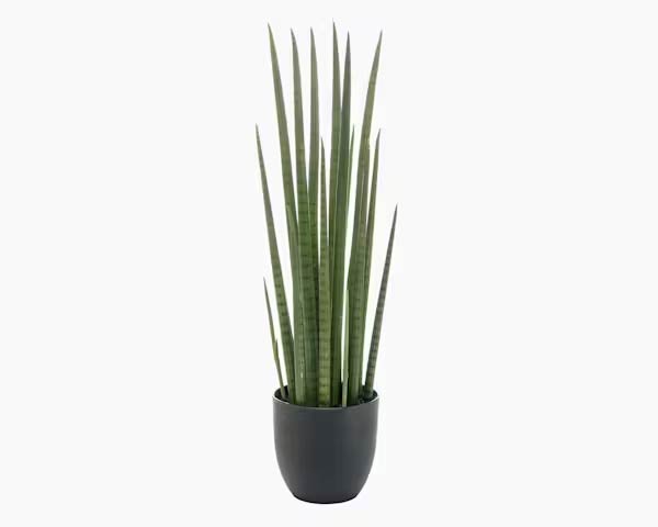 4 Ft Artificial sansevieria cylindrica – perfect for modern home decor