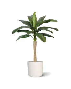 6 Ft Faux Banana Royal 210cm tree – lifelike tropical plant alternative
