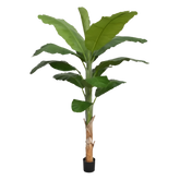 6 Ft Faux Banana Royal 210cm tree – perfect for modern home decor