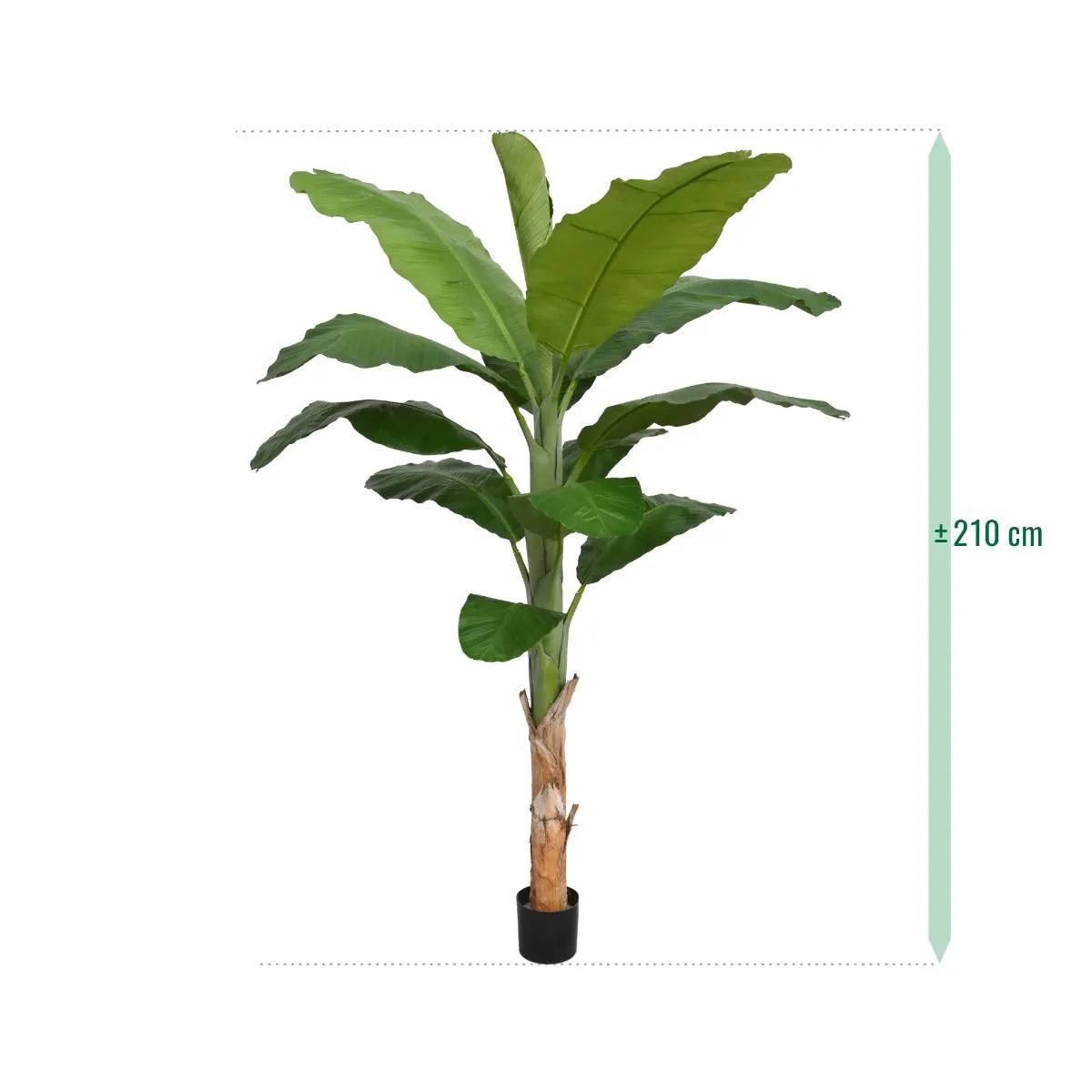6 Ft Faux Banana Royal 210cm tree – premium artificial houseplant design