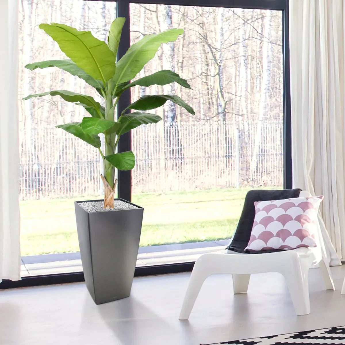 6 Ft Faux Banana Royal 210cm tree – tropical look without the upkeep