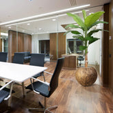 6 Ft Faux Banana Royal 210cm tree – low-maintenance greenery solution