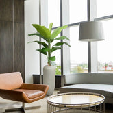 6 Ft Faux Banana Royal 210cm tree – ideal for indoor botanical themes