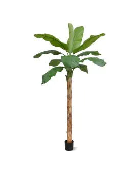6 Ft Faux Banana Royal 210cm tree – realistic faux plant for elegant decor