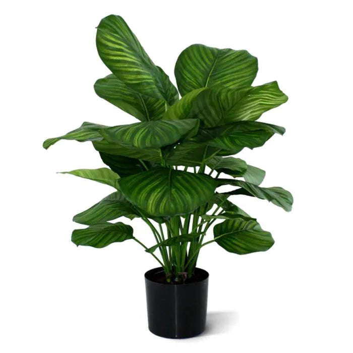 Vibrant 2.6 Ft faux Prayer Plant for indoor and outdoor decoration