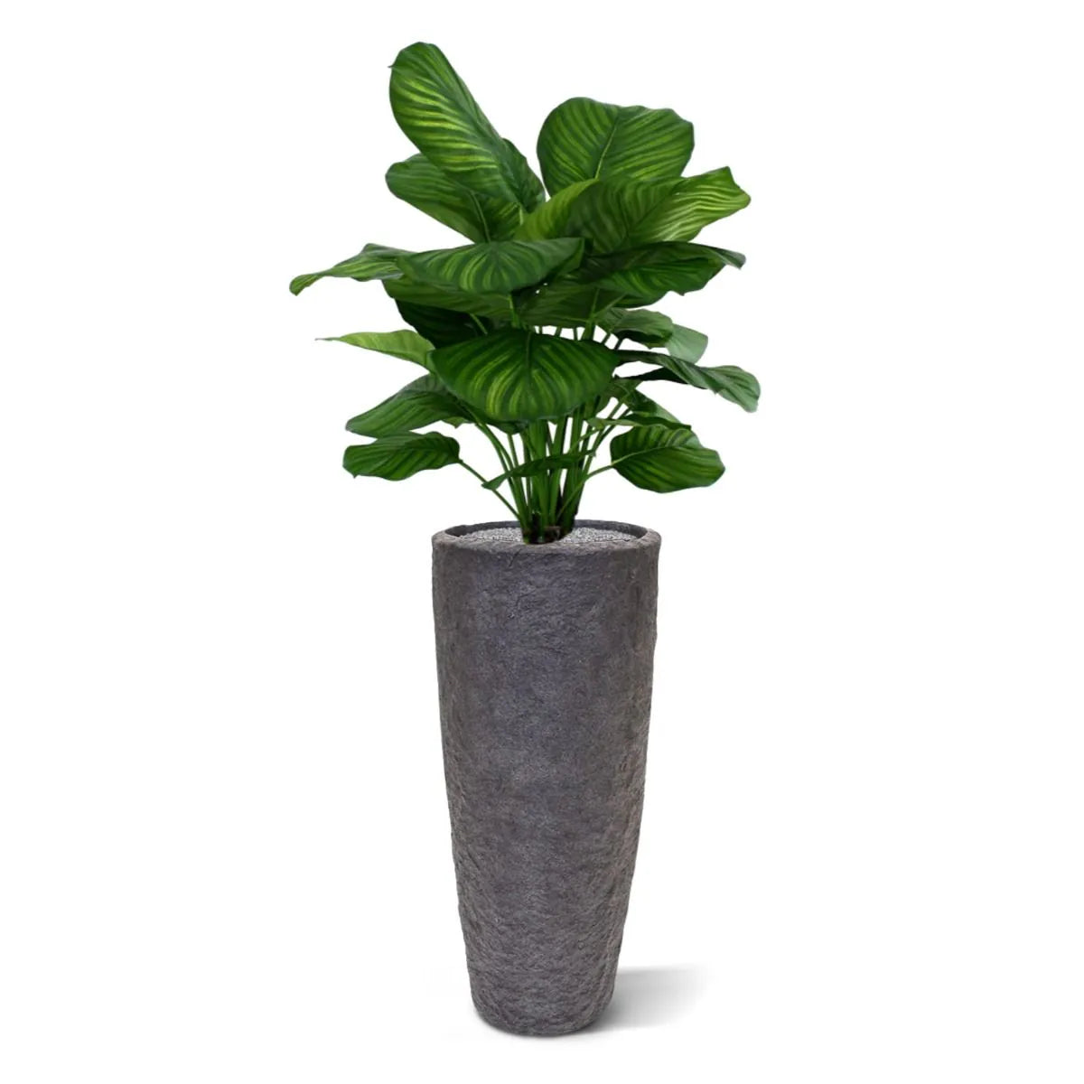Decorative 2.6 Ft artificial Calathea with lush, tropical foliage