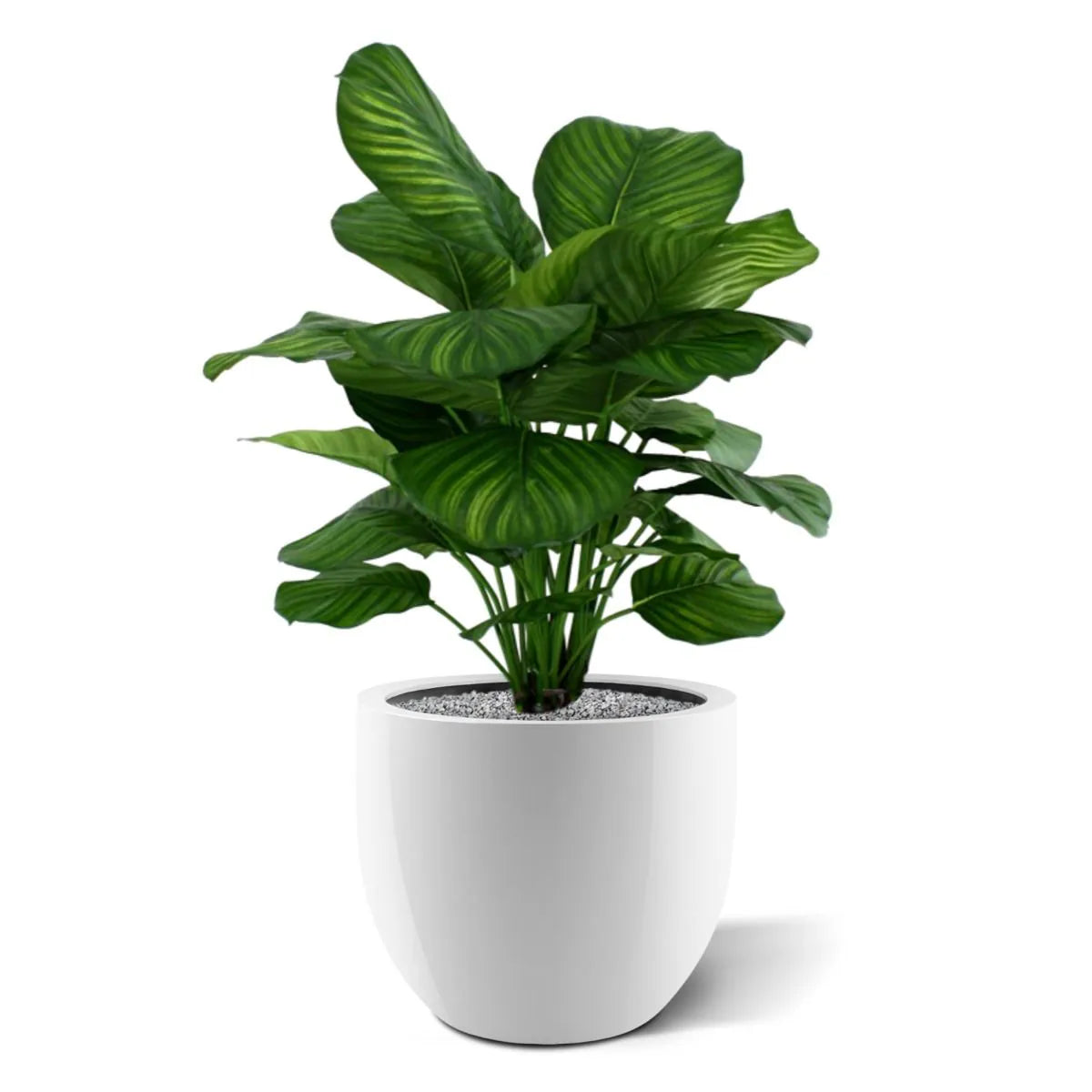 High-quality 2.6 Ft faux Calathea plant with soft-touch leaves