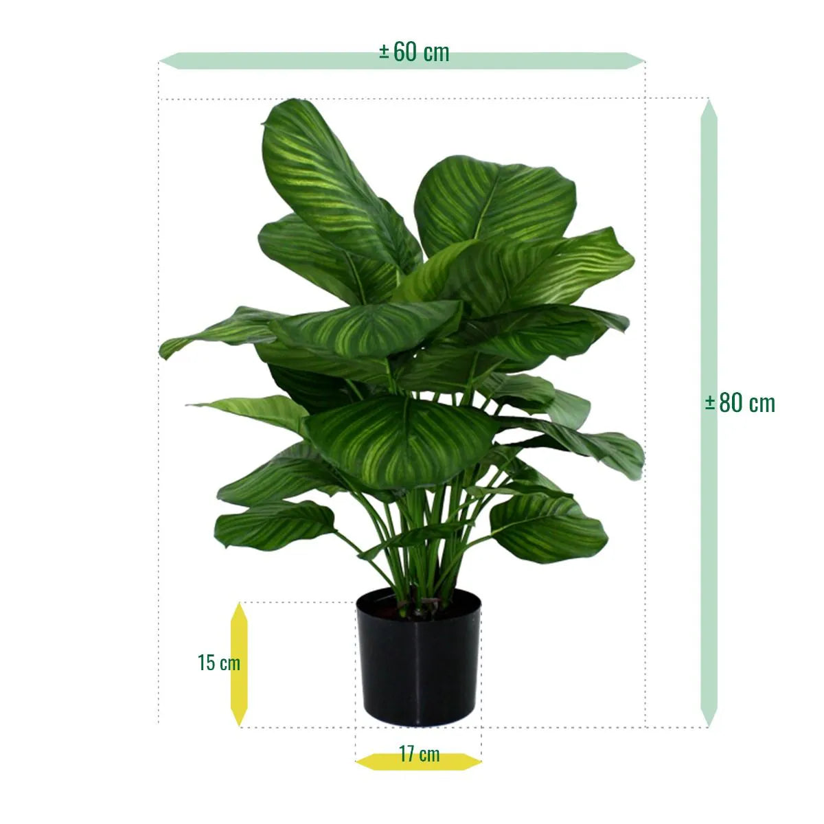Compact 2.6 Ft faux Prayer Plant with realistic, detailed foliage