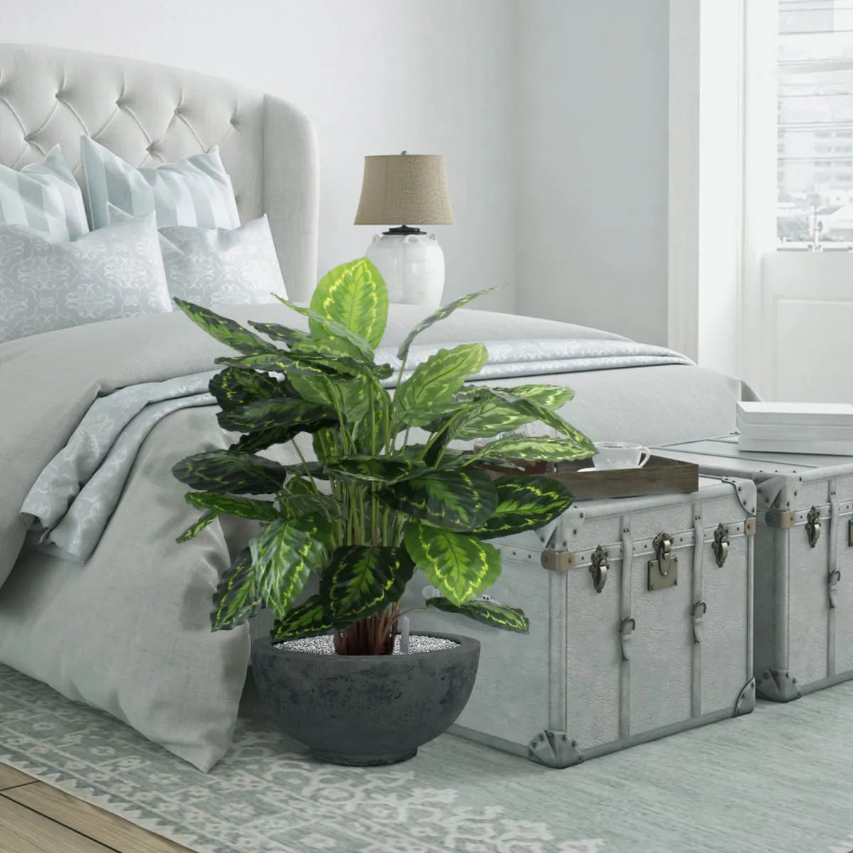 Eye-catching 2.5 Ft faux Calathea with pink and green leaf detailing