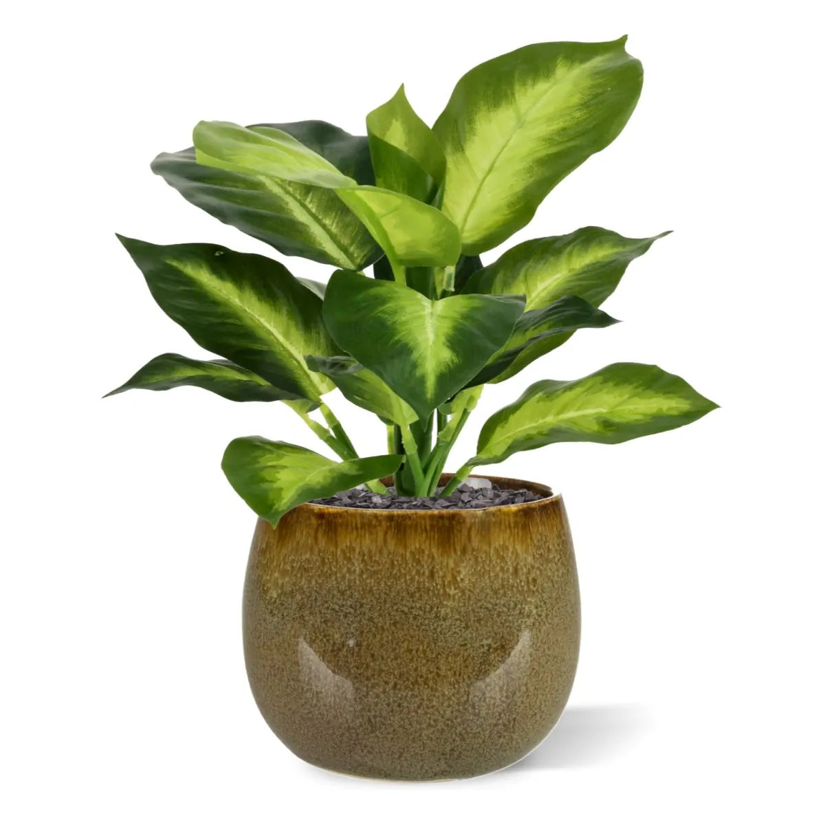 2 Ft Artificial Dieffenbachia Plant 25cm – enhances any living space naturally