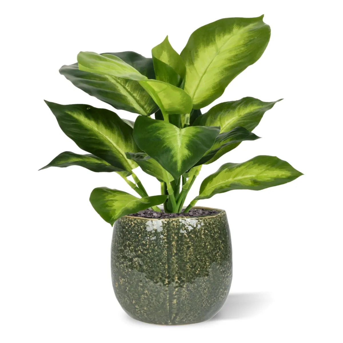 2 Ft Artificial Dieffenbachia Plant 25cm – crafted for realistic tropical vibes