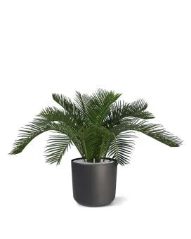Compact 2 Ft faux Cycas Palm for modern interior and garden styling