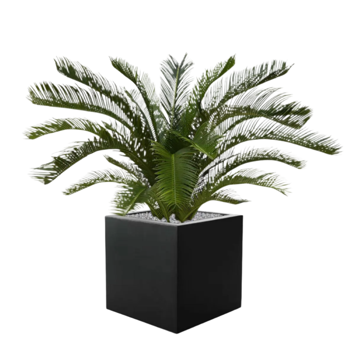 High-quality 2 Ft faux Sago Palm for elegant tropical-inspired decor