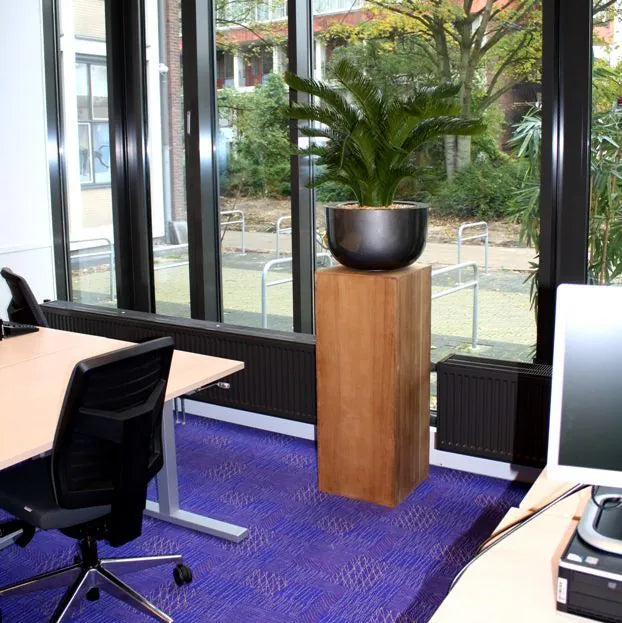 Versatile 2 Ft faux Cycas Palm for beach, boho, or tropical-themed spaces