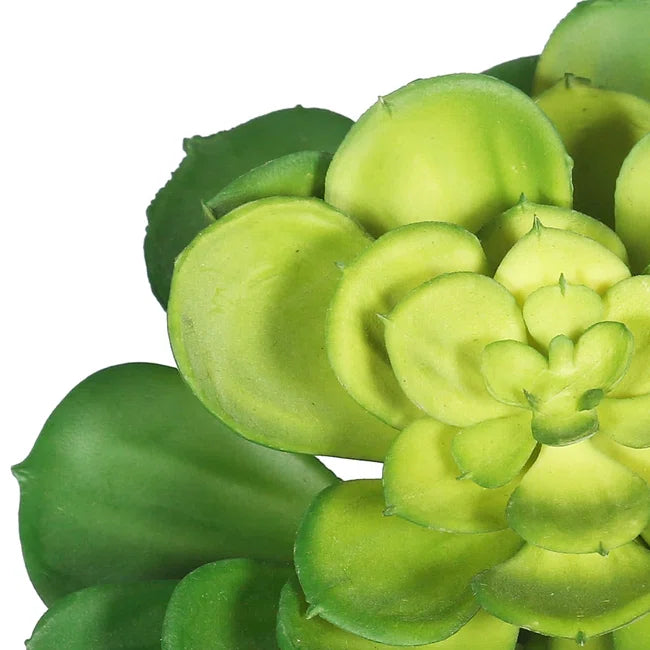 5 in. Faux Succulent Plant – Realistic Mini Artificial Greenery for Modern Home or Office