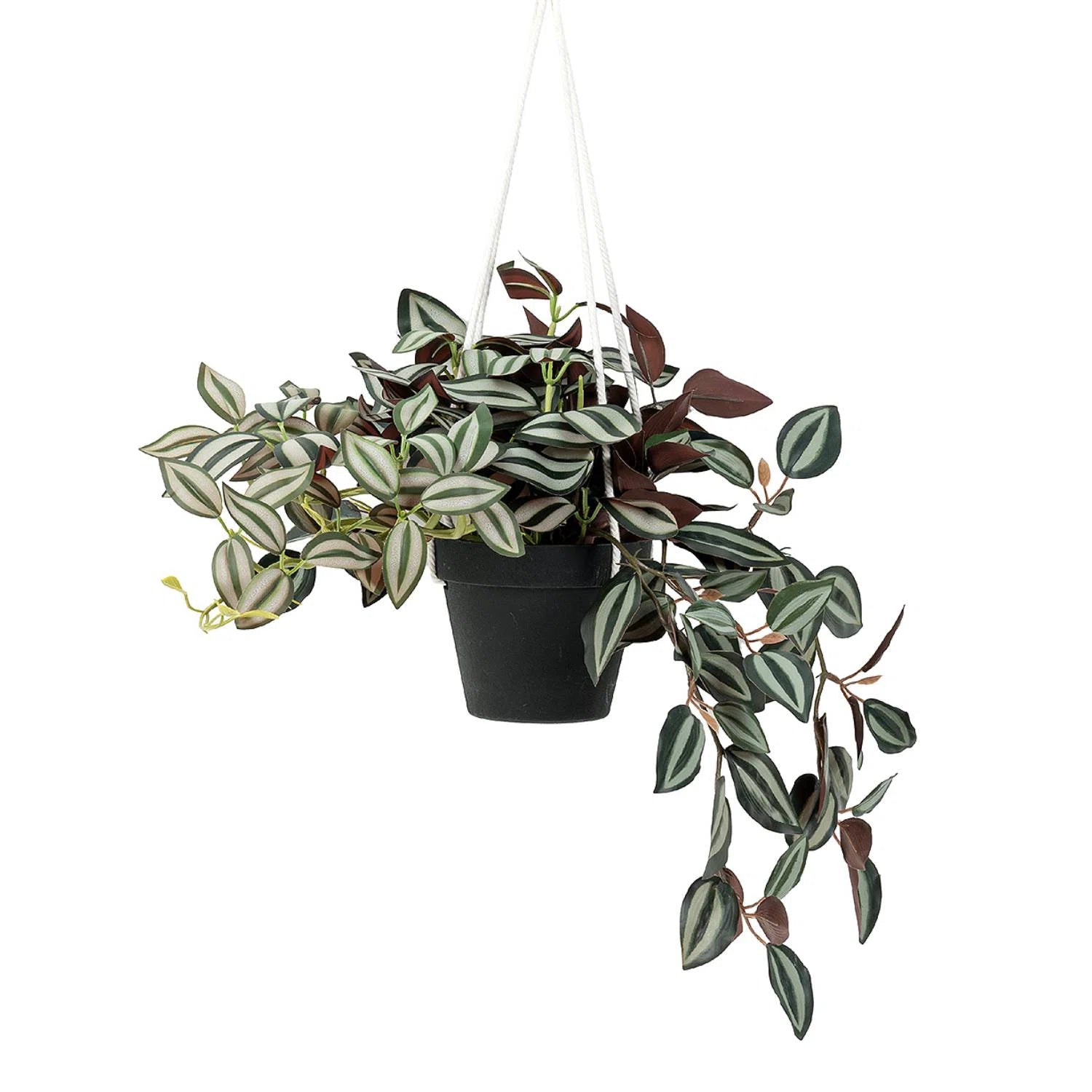 2 Ft Artificial Ruscus Leaf Hanging Plant – Lifelike Trailing Vines with Two-Tone Foliage for Indoor Wall, Shelf & Balcony
