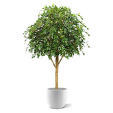 7 Ft Fire retardant Ficus Exotica Giant 290 cm artificial tree – lifelike tropical plant alternative