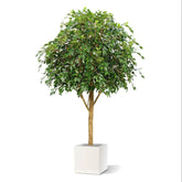 7 Ft Fire retardant Ficus Exotica Giant 290 cm artificial tree – faux greenery with vibrant texture