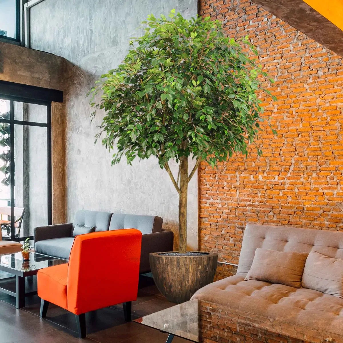 7 Ft Fire retardant Ficus Exotica Giant 290 cm artificial tree – brightens up dull corners effortlessly