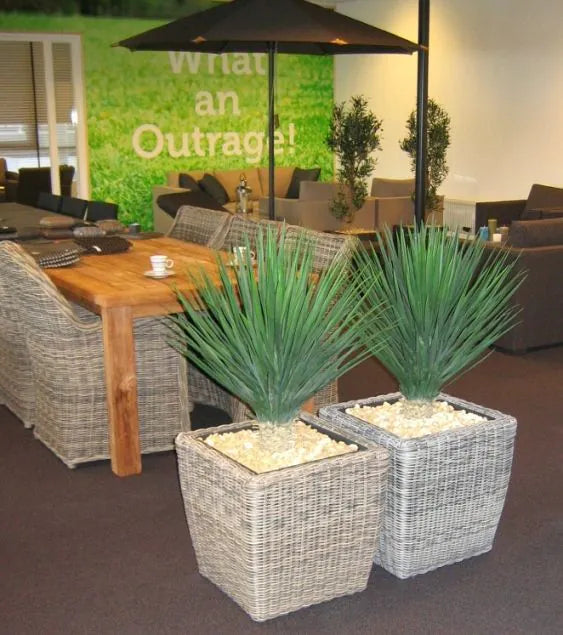 Decorative 2.5 Ft artificial Yucca with realistic long, pointed leaves