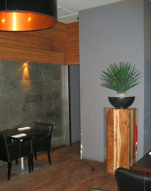 High-quality 2.5 Ft artificial desert plant with natural-looking foliage