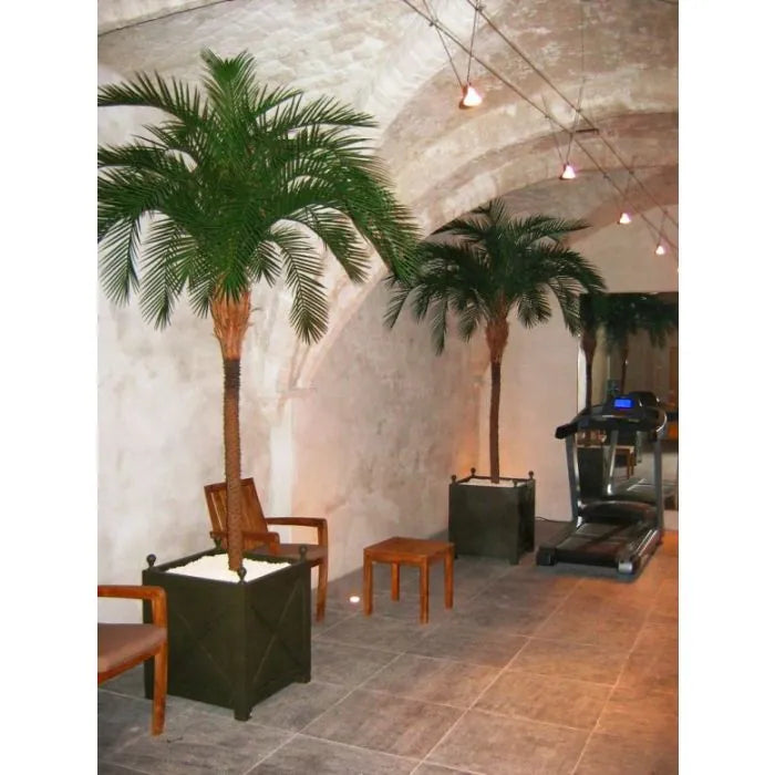 8 Ft Artificial Phoenix Palm Deluxe OD 300cm – ideal for indoor botanical themes