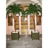 8 Ft Artificial Phoenix Palm Deluxe OD 300cm – lifelike tropical plant alternative