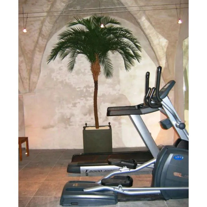 8 Ft Artificial Phoenix Palm Deluxe OD 300cm – perfect for modern home decor