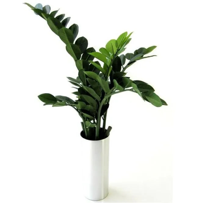 Realistic 2 Ft faux Zamioculcas plant – a maintenance-free indoor greenery solution