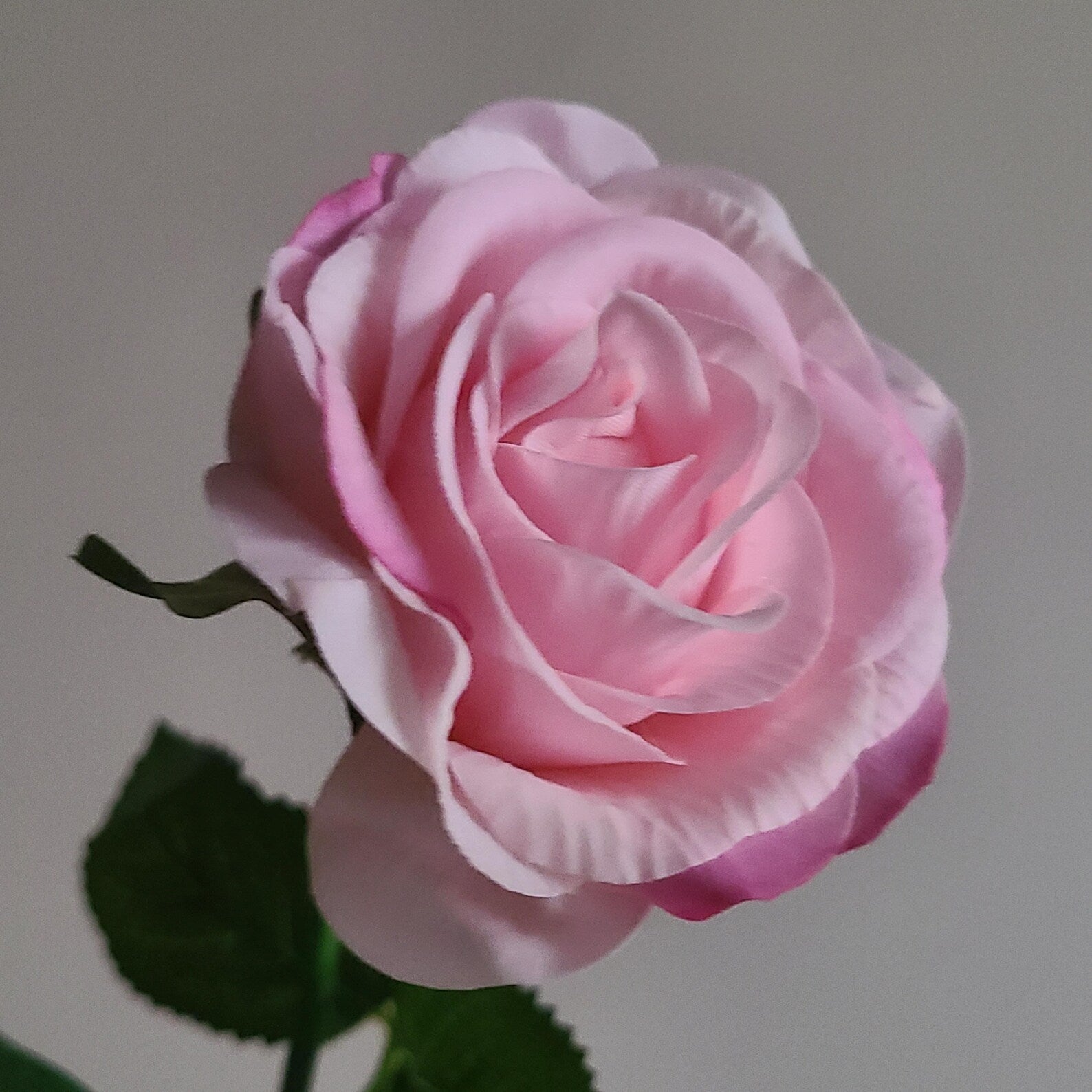 Pink Artificial Rose – Single Stem Faux Flower for Home, Office & Event Decor