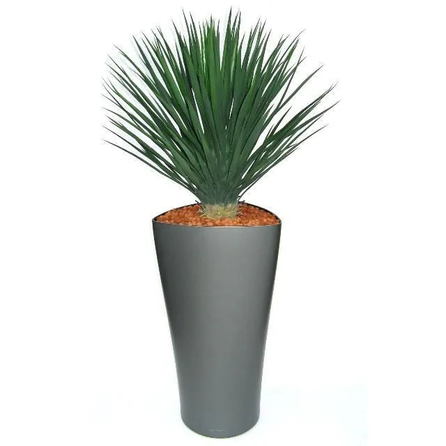 Eye-catching 2.5 Ft artificial Yucca Rostrata – a perfect indoor plant alternative